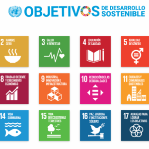 Objetivos de desarrollo sostenible