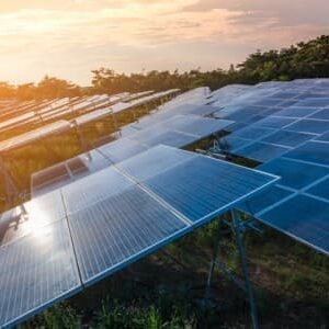 The Renewable Energy Revolution Has A Major Employment Problem