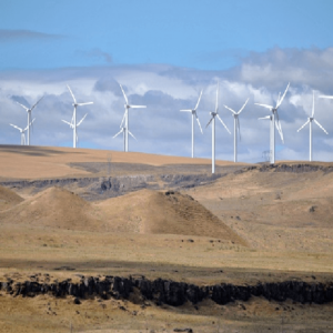 Energía eólica. Qué es, cómo funciona, ventajas y desventajas